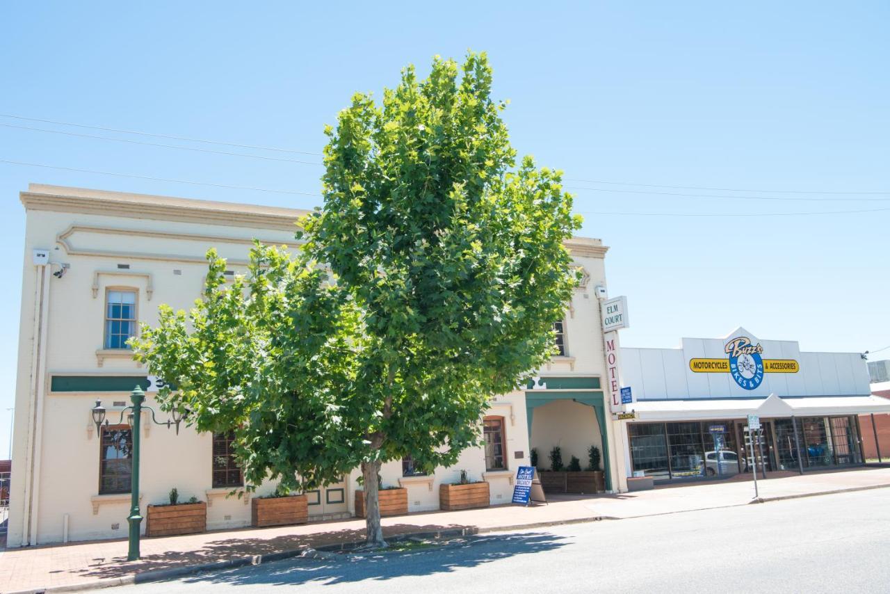 Elm Court Motel Albury Exteriér fotografie