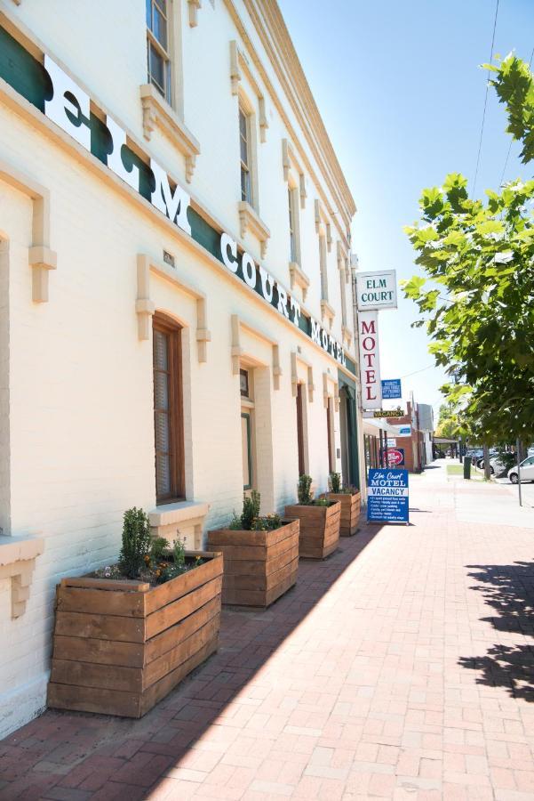 Elm Court Motel Albury Exteriér fotografie